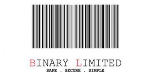 Binary limited logo